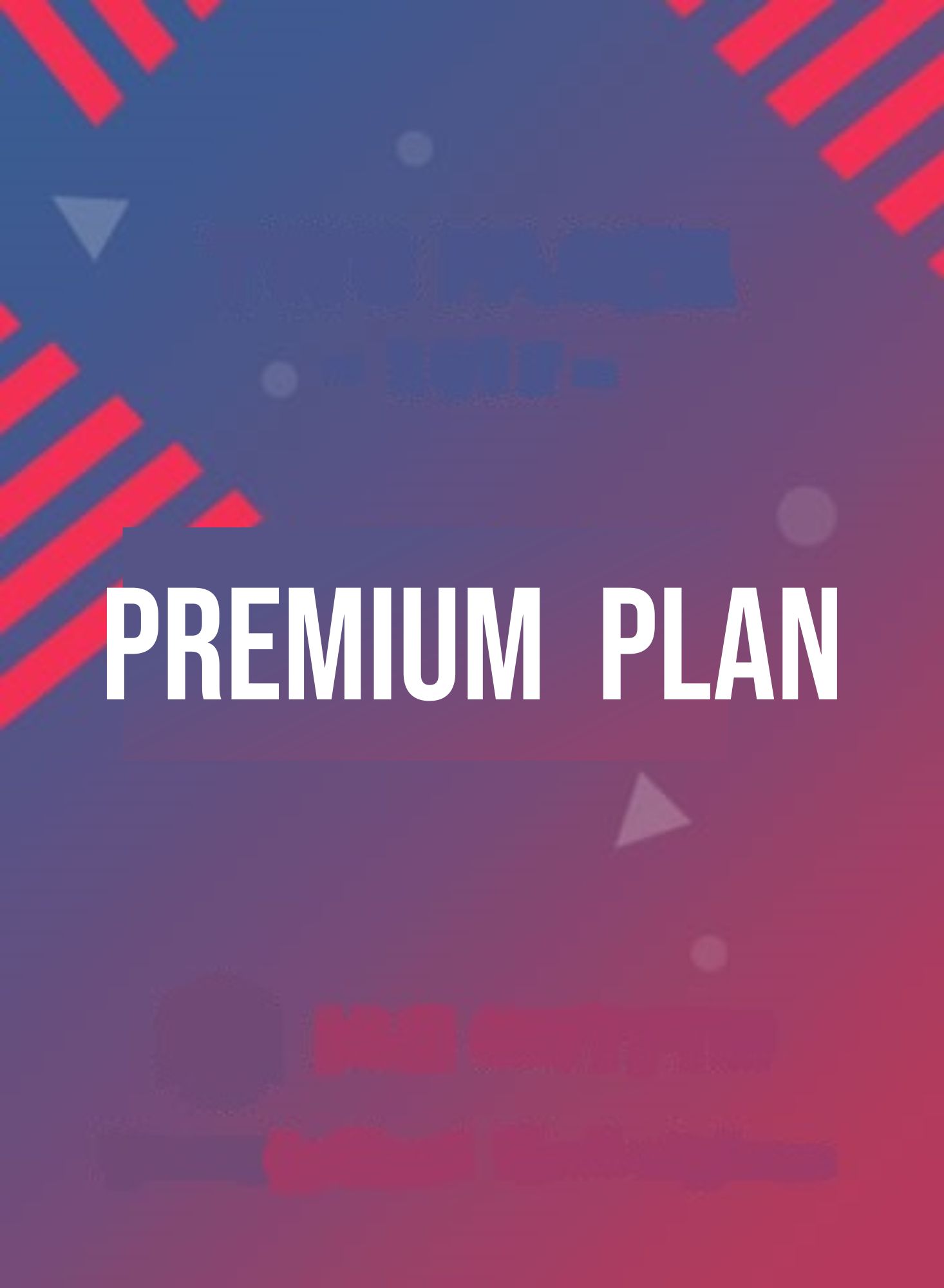 Premium Plan